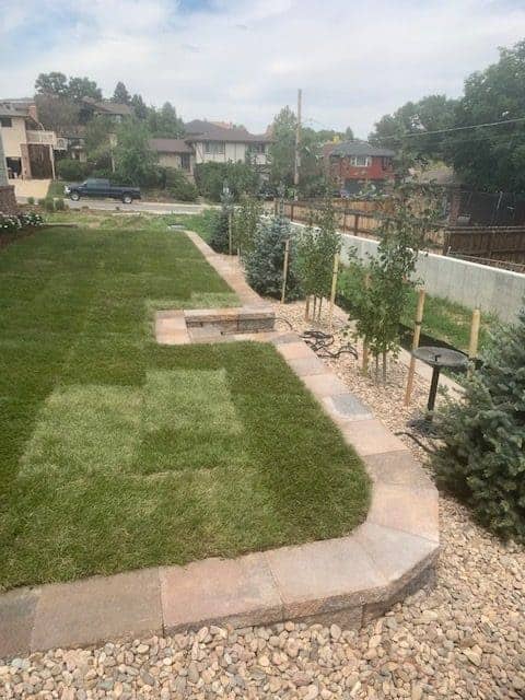 Sod installation, tree planting and rocks in Lakewood
