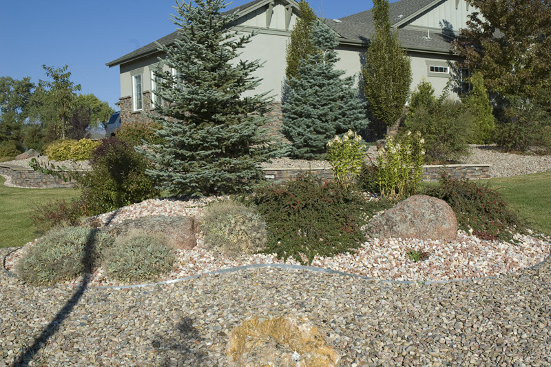 Rocks as part of landscape design